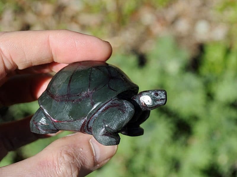 jade tortoise