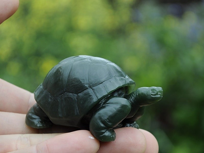 jade tortoise