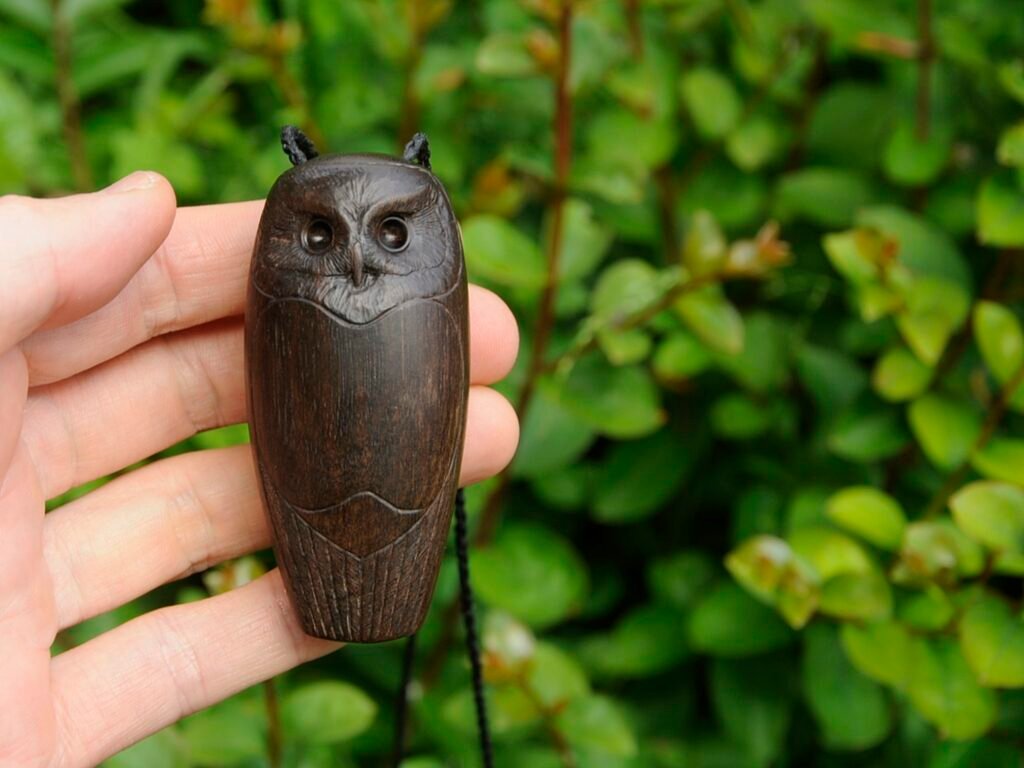rata ruru morepork