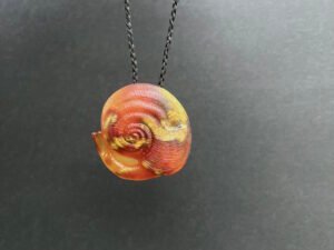 carnelian kauri snail shell