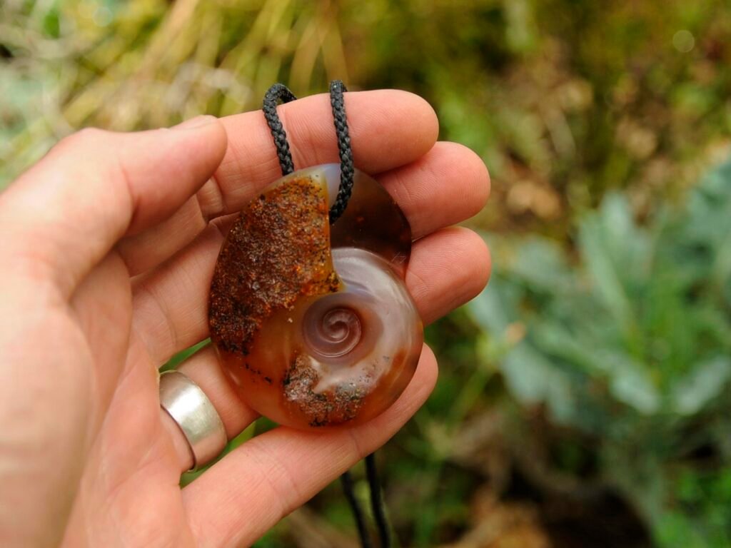 carnelian kauri snail shell